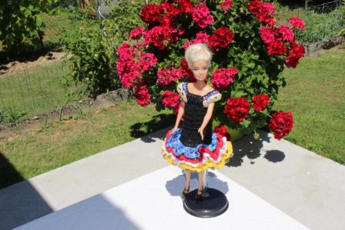 Barbie caméléon.les avancées (3)