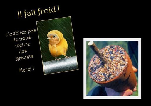 Aidons-les à passer l'hiver qui s'annonce ...