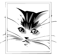 Le chat tigré ...