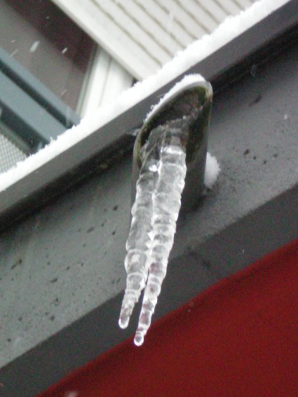 image09.jpg