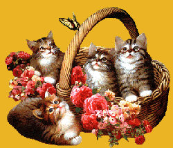 Citations pour vivre en harmonie avec la Nature : Le corps