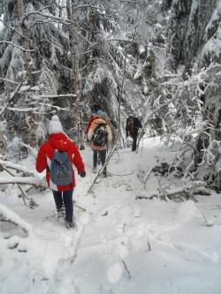 Neige tardive à Kopitoto