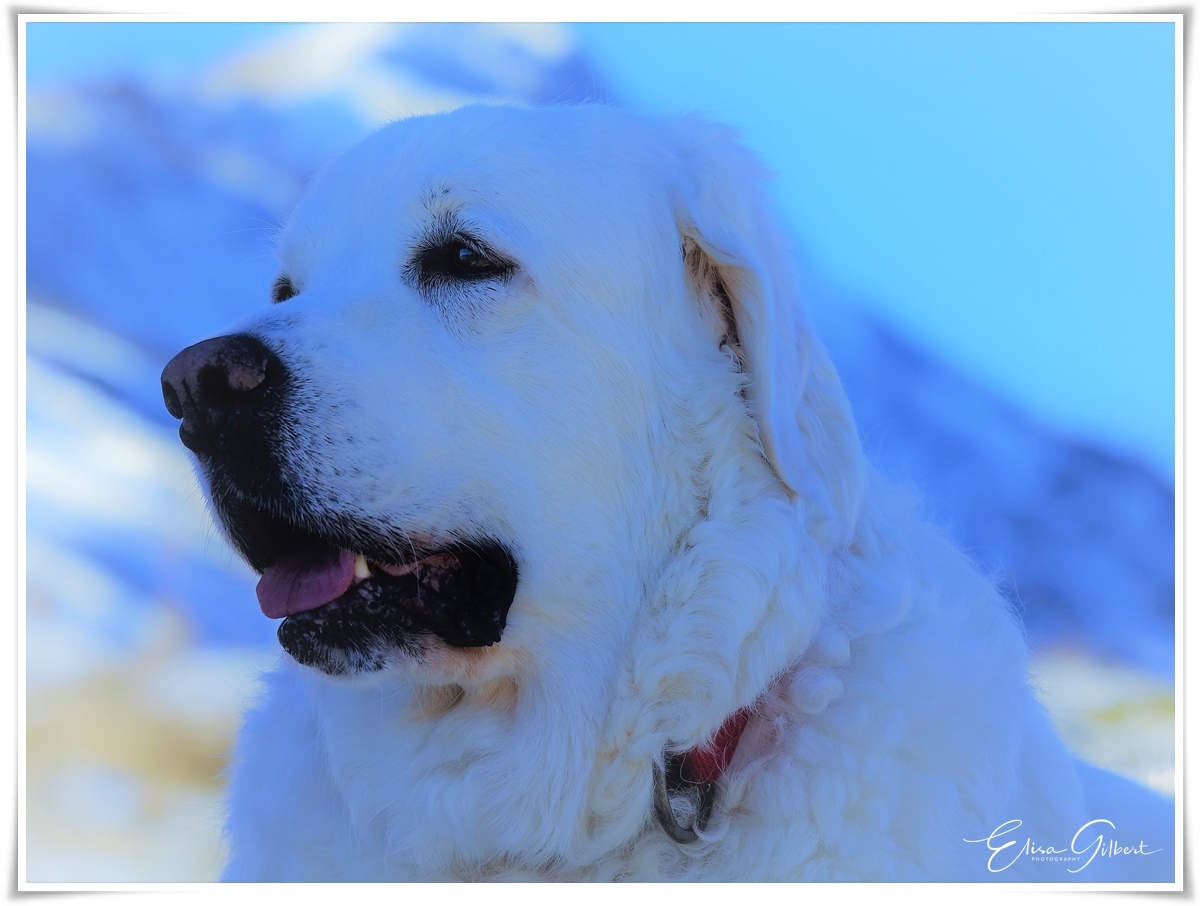 Neige N°2
