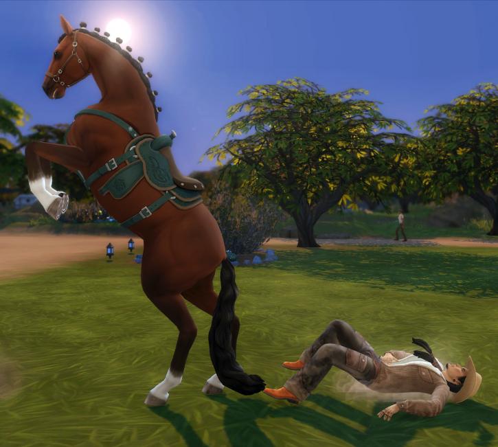 [Vie au ranch] Célian apprend à faire du cheval