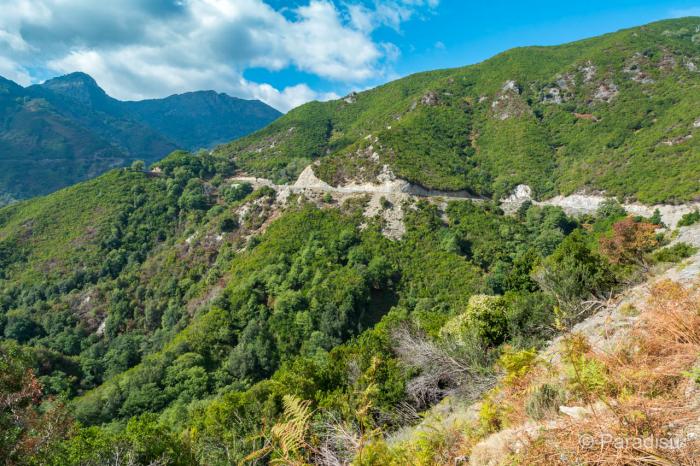 Département de la Corse  2ème partie