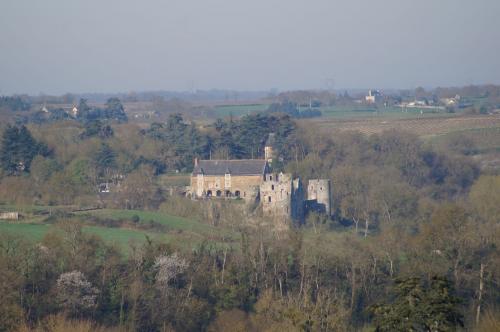 Saint Aubin de Luigné: variante Chaume