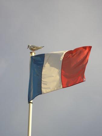Pornic_desenvasement_du_port_009