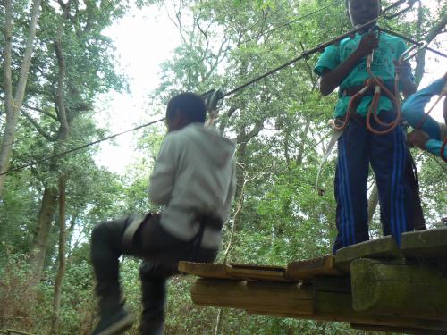 Une journée "accrobranche" enrichissante et inoubliable!