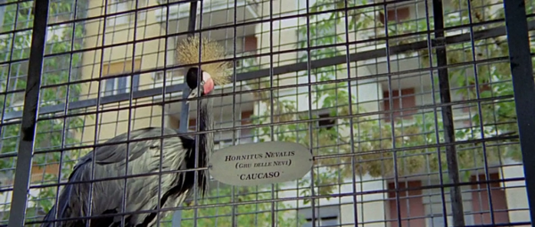 L’oiseau au plumage de cristal, L’uccello dalle piume di cristallo, Dario Argento, 1970
