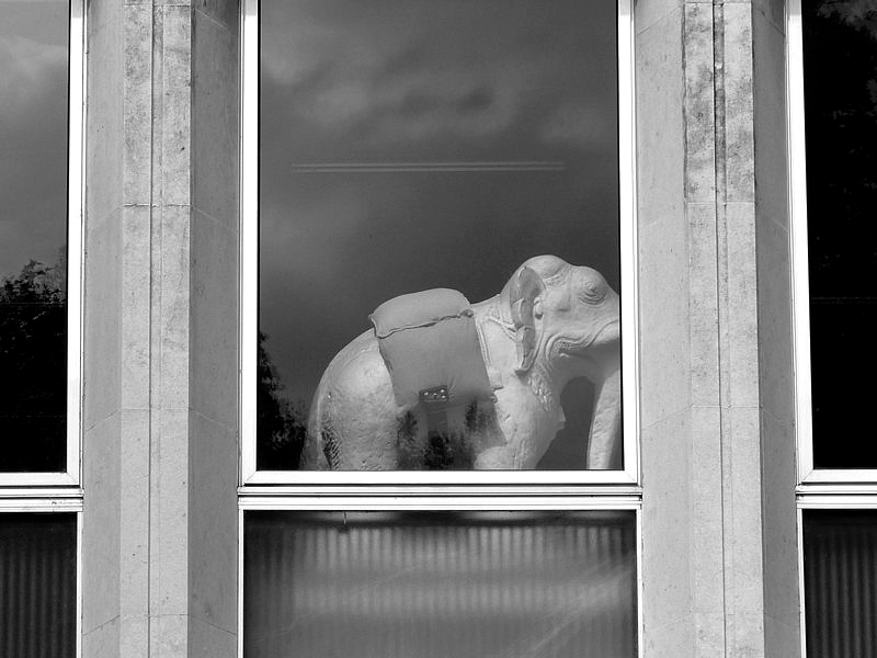 Autour du Centre Pompidou-Metz il y a... / 50