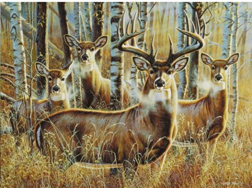 Peintures de : Cynthie Fisher