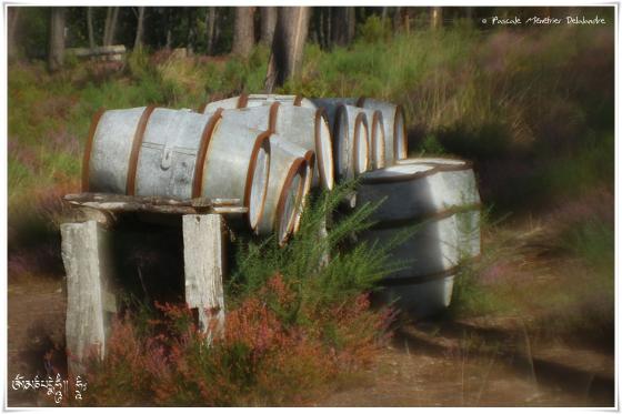 A l'Eco Musée de la Marquèze... (Virage HDR)