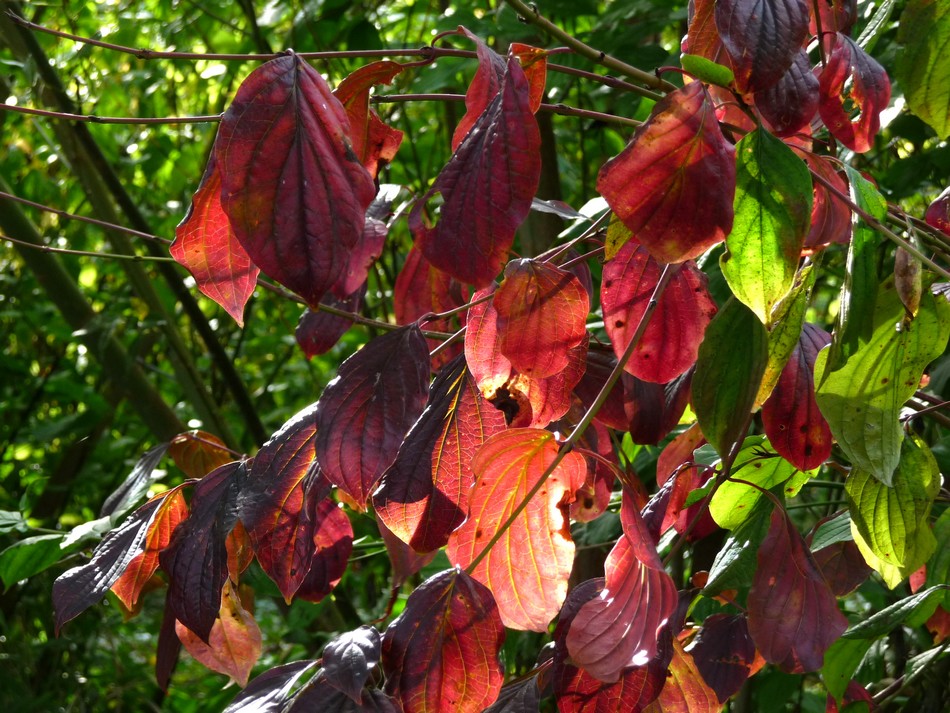 Mes images d'octobre