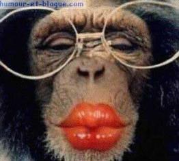 Liliette... Où êtes vous...