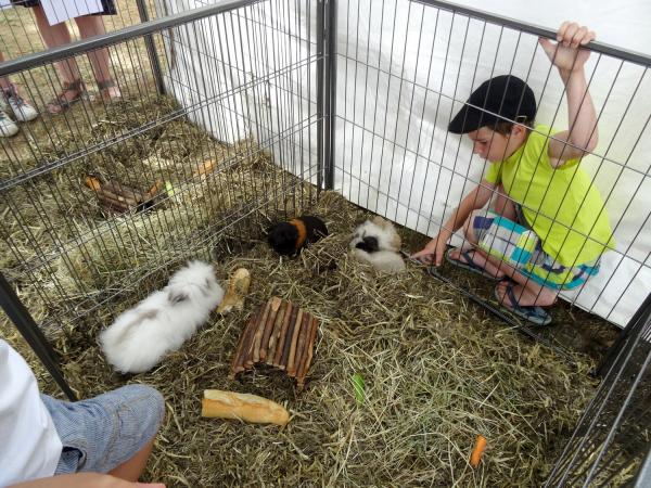 Les journées Châtillonnaises : producteurs locaux, associations, commerces, spectacles...