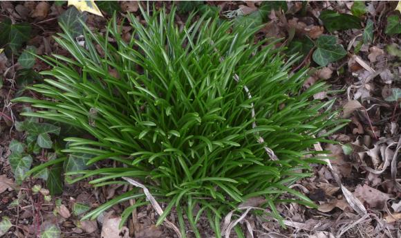Le printemps m'appelle au jardin