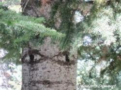 La page de Ludovic Demaret