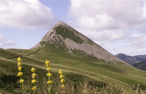 Département du Cantal