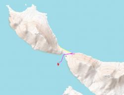 6 mars 2019 : dernier débarquement aux Falkland sur l'île Saunders