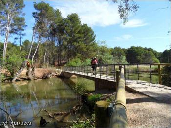 (J42) Navarrete / Viana 16 mai 2012 (1)