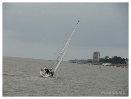 Record SNSM 2011