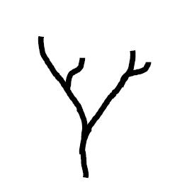 Graphisme décoratif : le contour de l'arbre