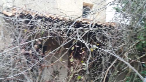 Maison à la sportive italienne feu le paradis