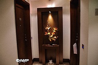 Imgp7990marq.jpg