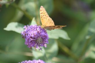 Canal Nantes Brest 033