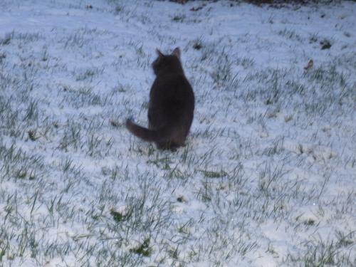 Le parc sous la neige