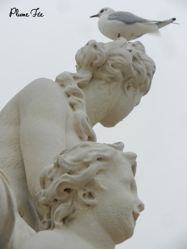 Image015.jpg