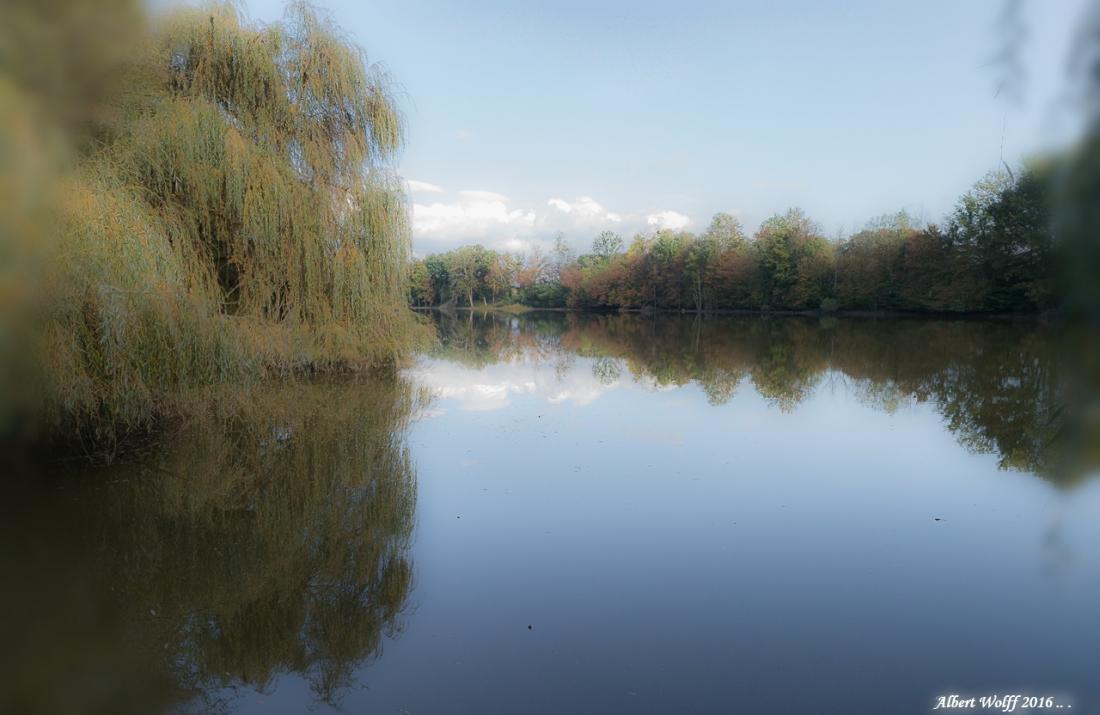 En matière de réflexion...