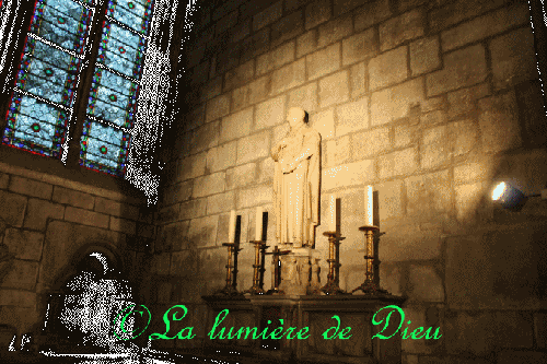 La cathédrale Notre-Dame de Paris