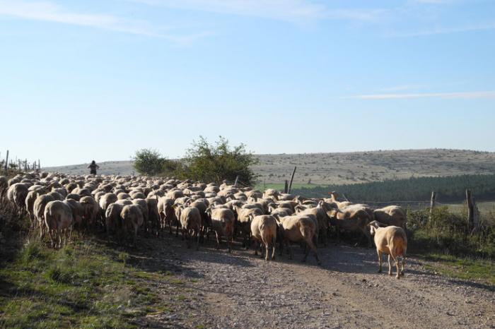 Département duTarn et Garonne
