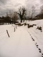 Lundi, en une, deux, trois, quatre, ou ...Plus ... en photos 