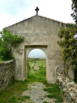 Peut être une image de arbre et plein air