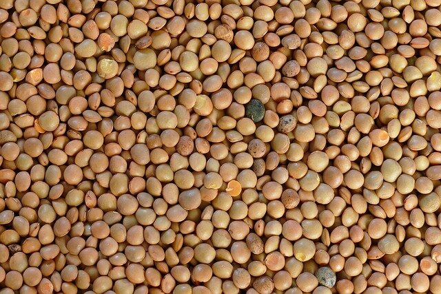 Légumes du mois de Juillet