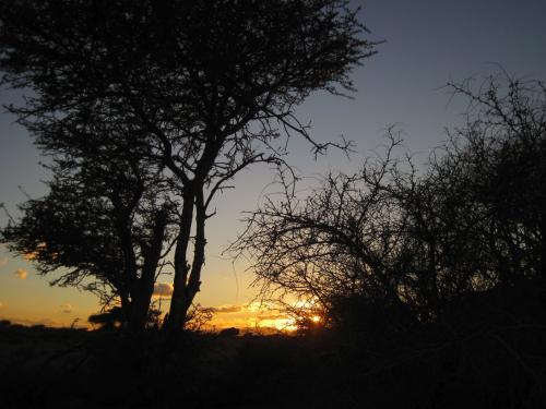 Depuis Essaouira le retour 2 ...