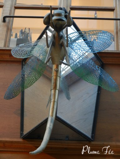Image41.jpg
