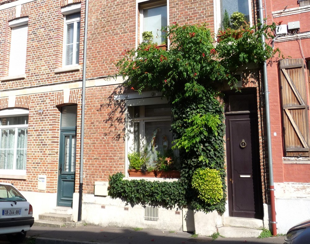 Les amiénois ne peuvent vivre sans la nature