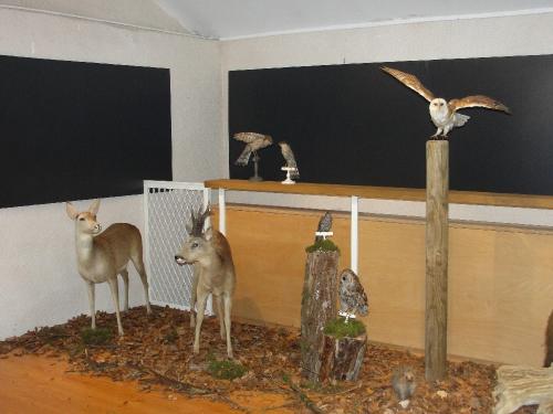 -Les étangs des Marots