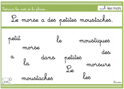 la notion de mot (1)