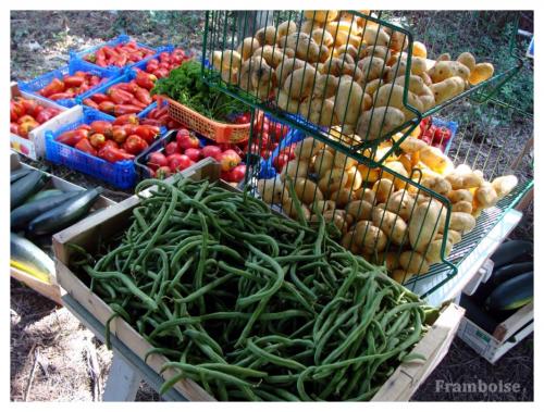  Arthon en Retz Adresse Légumes