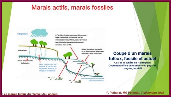 "Les marais tufeux du Plateau de Langres", une conférence proposée par la Société Mycologique du Châtillonnais