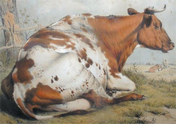 Peinture de :Thomas Sidney Cooper 