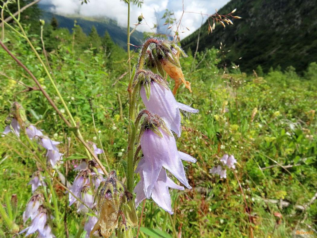 Argentière en Haute-Savoie -4