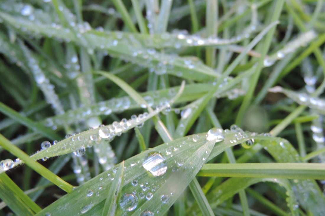 mes gouttes d'eau 