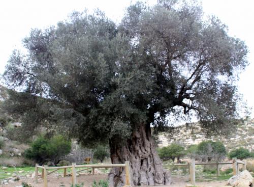 Lundi 20 au dimanche 26 janvier