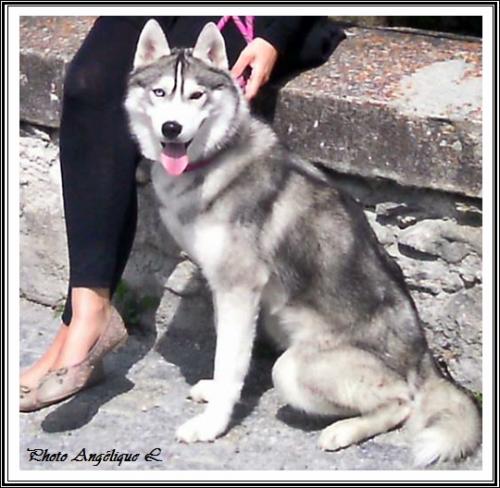 Jeska (14 mois)