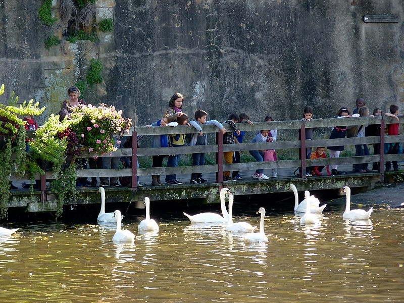 Quand la Moselle joue avec Metz 2/3...